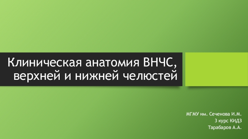 Клиническая анатомия ВНЧС, верхней и нижней челюстей