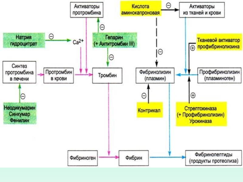 Схема общая фармакологическая характеристика средств влияющих на тромбообразование