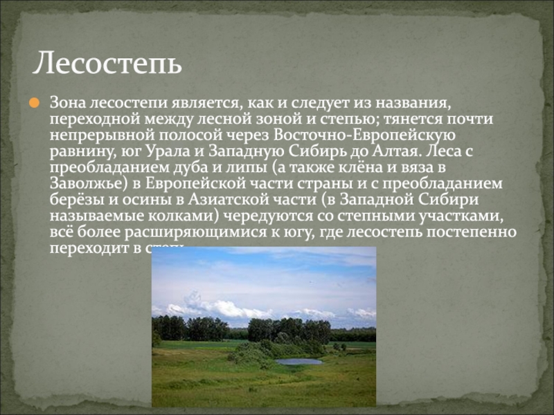 Природные зоны россии презентация 8 класс география