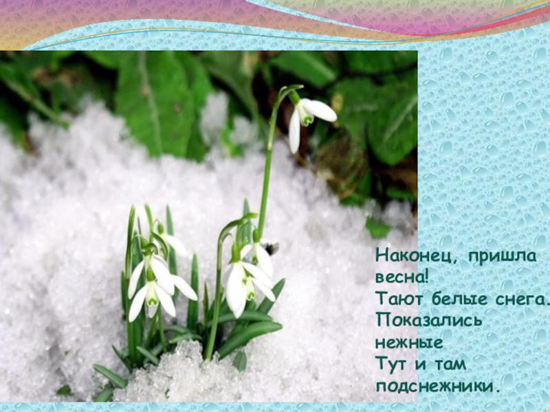 Презентация
Выполнила:
воспитатель
первой младшей группы № 1
Мерзликина Ольга Наконец, пришла весна!Тают белые снега.Показались нежныеТут и там подснежники. Наконец, пришла весна!Тают белые снега.Показались нежныеТут и там подснежники.