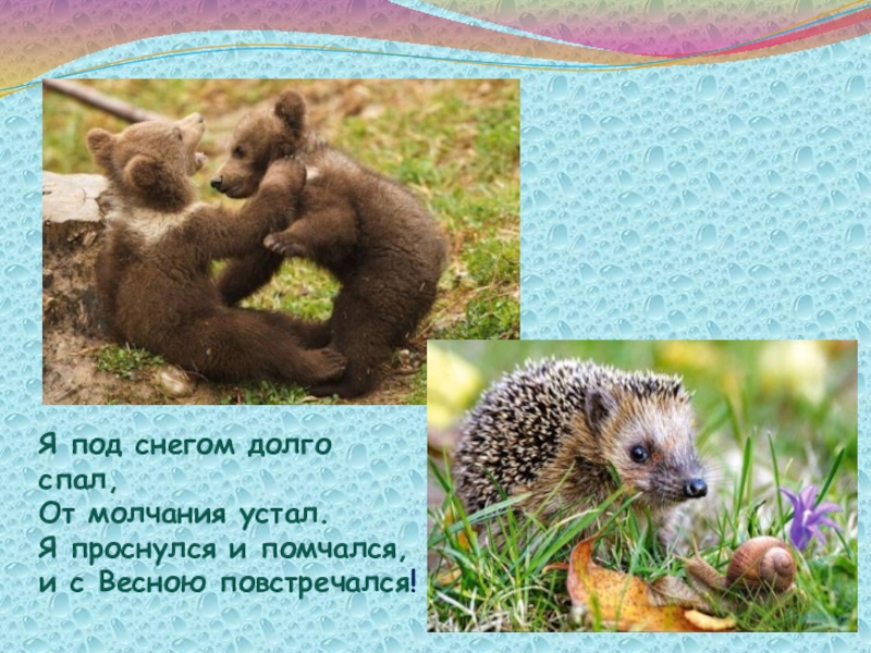 Презентация
Выполнила:
воспитатель
первой младшей группы № 1
Мерзликина Ольга Я под снегом долго спал,От молчания устал.Я проснулся и помчался,и с Весною повстречался! Я под снегом долго спал,От молчания устал.Я проснулся и помчался,и с Весною повстречался!