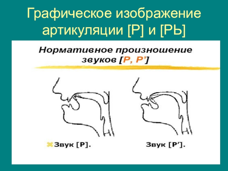 Звук графическое изображение