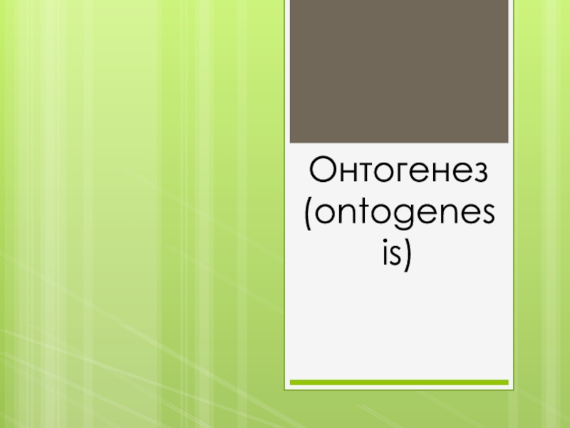 Онтогенез (ontogenesis)
