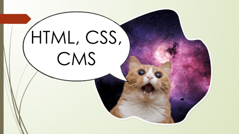 HTML, CSS, CMS