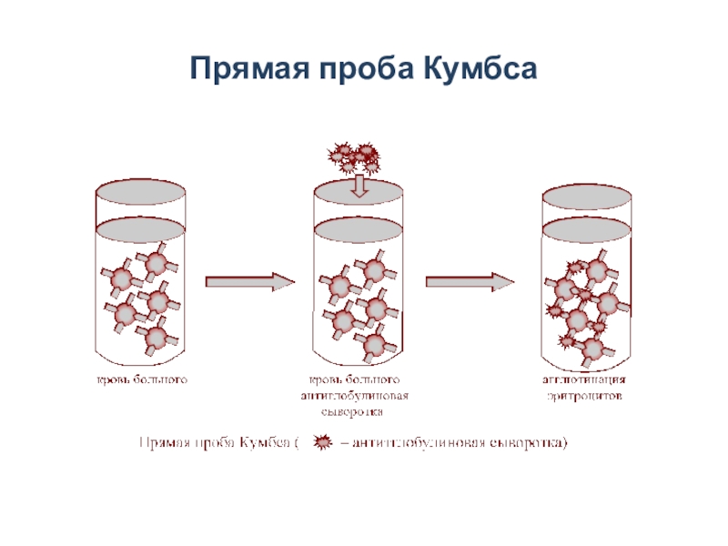 Проба кумбса что это