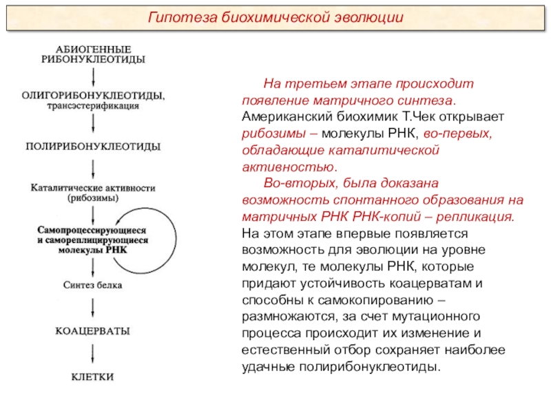 Развитие представлений о происхождении жизни презентация