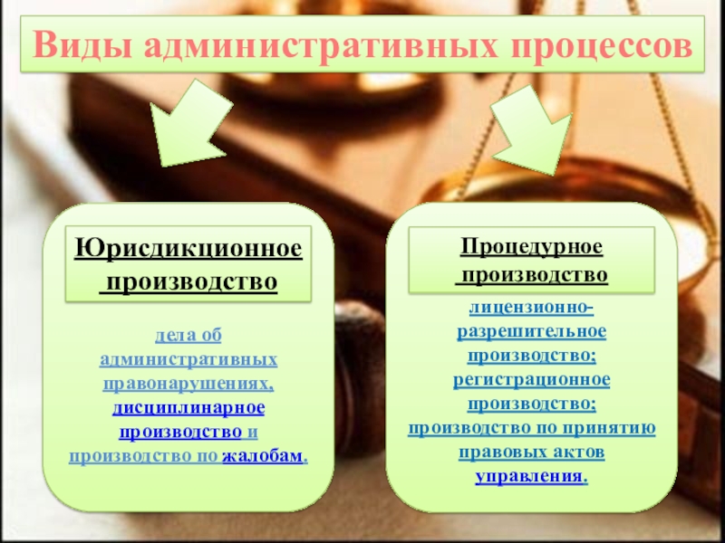 Административный процесс. Виды административно-процессуальных производств. Виды административного процесса. Сущность административного процесса. Виды админмстративног опроцесса.