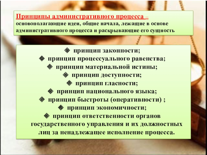 Доклад: Административно процессуальная деятельность