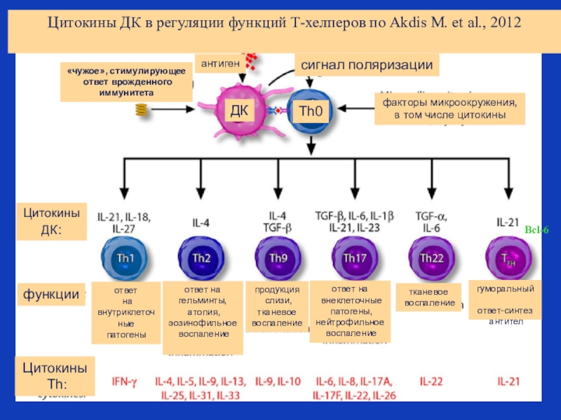 Классификация цитокинов презентация