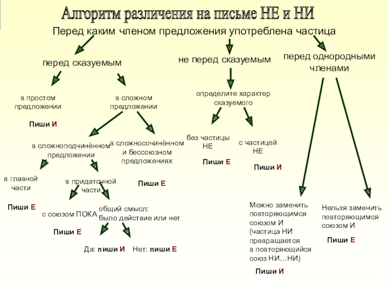 Перед частица