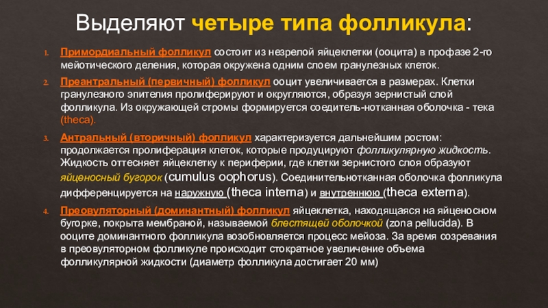 Цикл реферат. Характеристика первичного преантрального фолликула. Первичного преантрального фолликул харакристика.