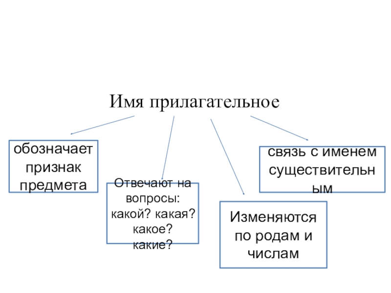 Прилагательные обозначающие человека