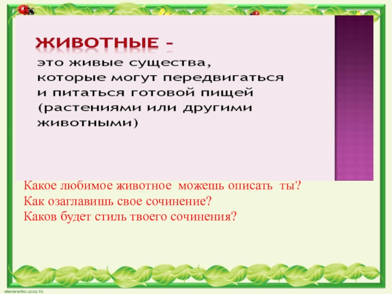 Сочинение описание животного 2 класс презентация