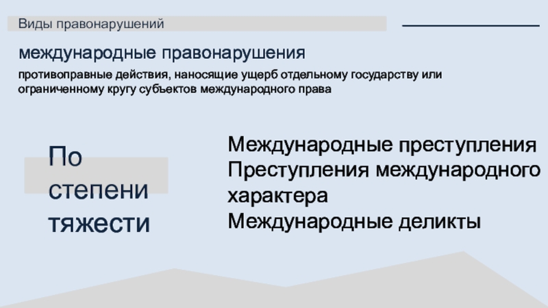 Субъект международного правонарушения