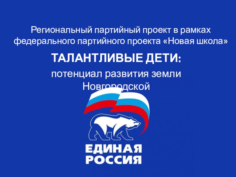 Региональный партийный проект в рамках федерального партийного проекта Новая