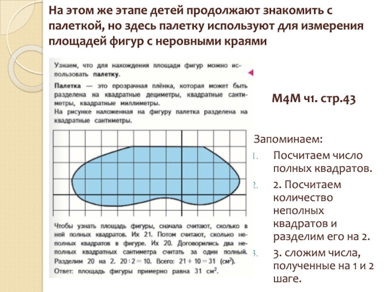 Палетка площадь