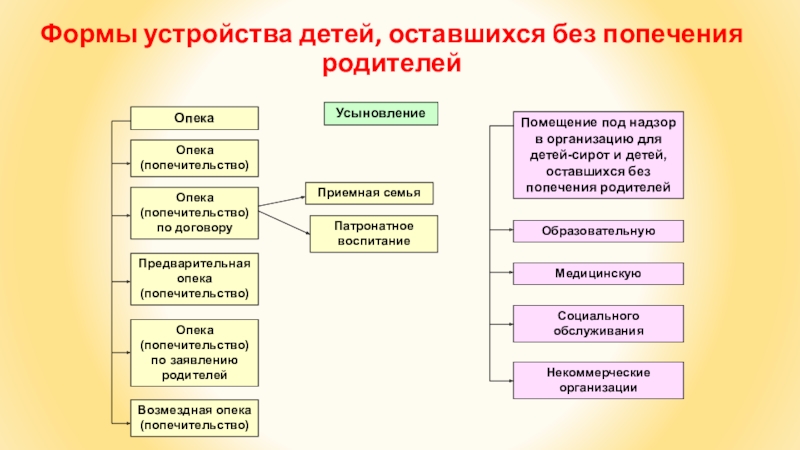 Форма воспитания детей оставшихся без попечения родителей презентация