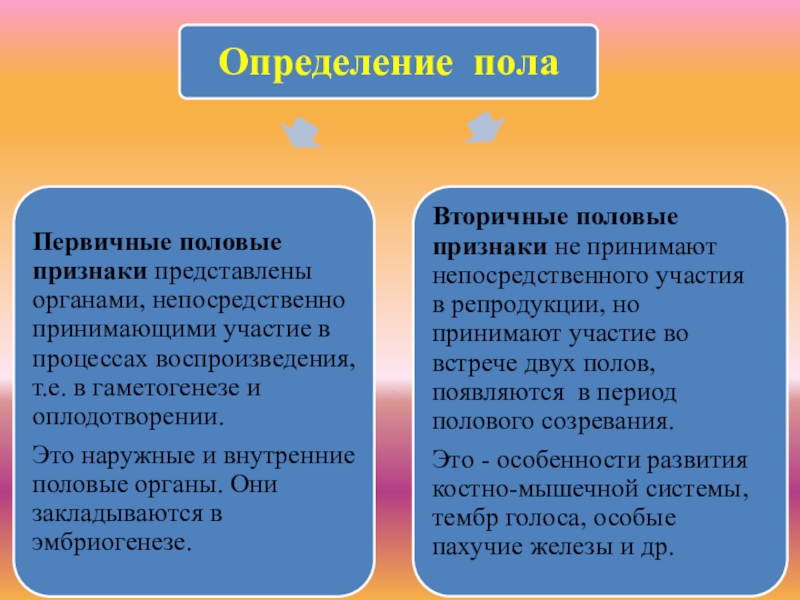 Определение пола презентация. Генетика пола презентация 10 класс.