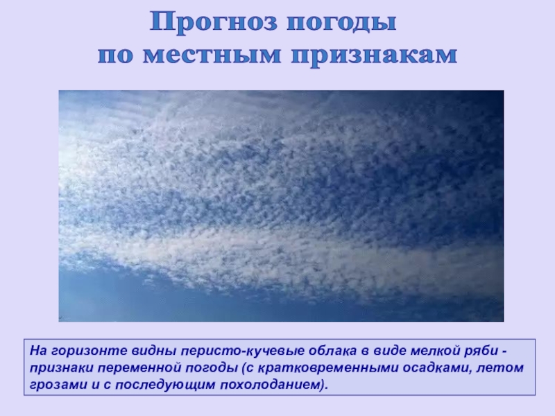 Облаков признак. Перисто-Кучевые облака вид осадков. Местные признаки погоды. Местные признаки погоды география. Предсказания климата по местным признакам.