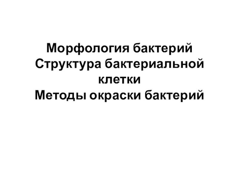 Морфология бактерий Структура бактериальной клетки Методы окраски бактерий