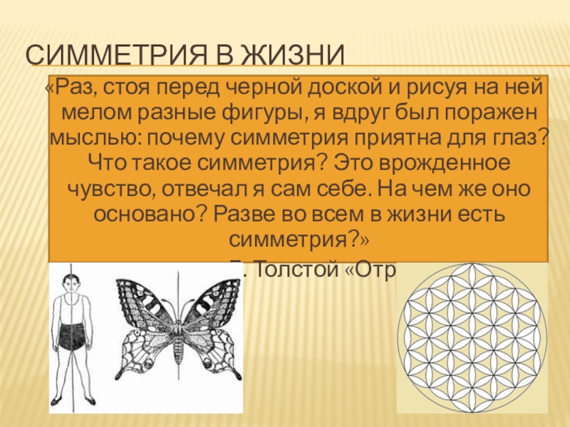 Проект по теме симметрия в жизни