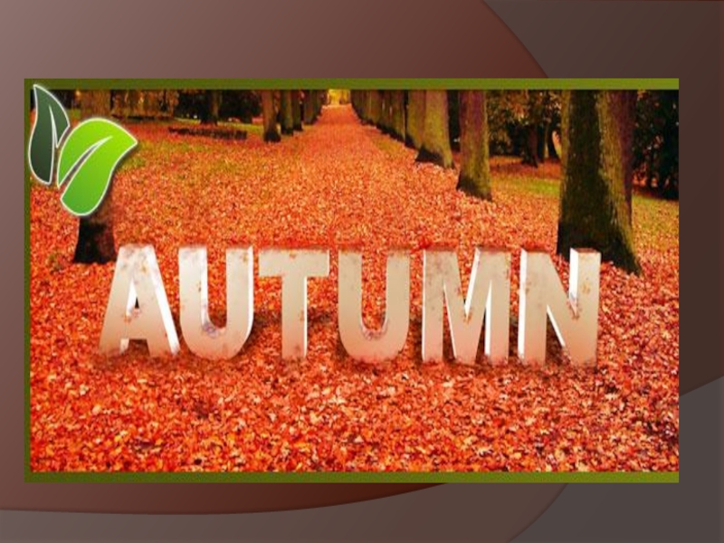 autumn-flashcards-picture-dictionaries-reading-comprehens 61325