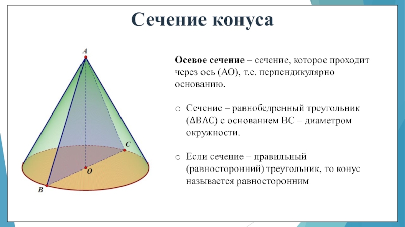 Конус сечение конуса площадь поверхности конуса