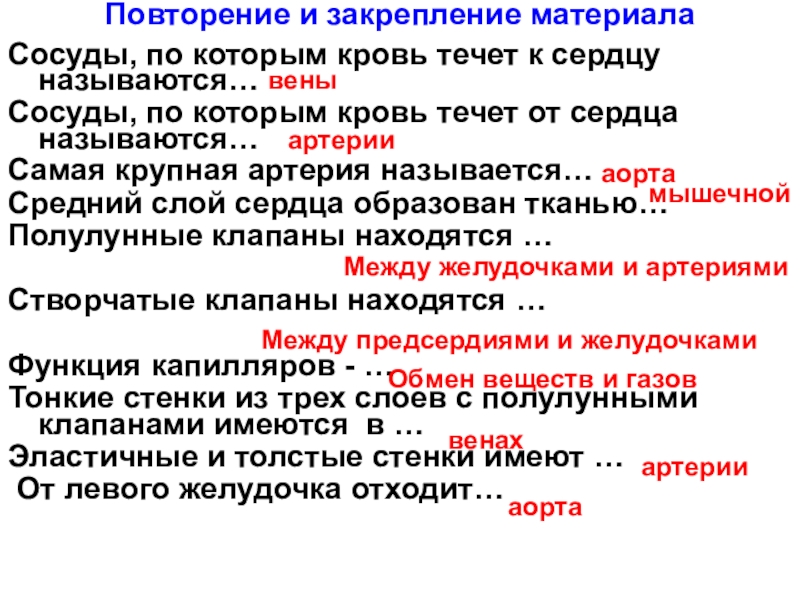 Сосуды по которым течет от сердца. Сосуды по которым кровь течет от сердца. Сосуды по которым кровь течет к сердцу называются. Как называются сосуды, по которым кровь течет от сердца?. Кровь по артерия которой течет.