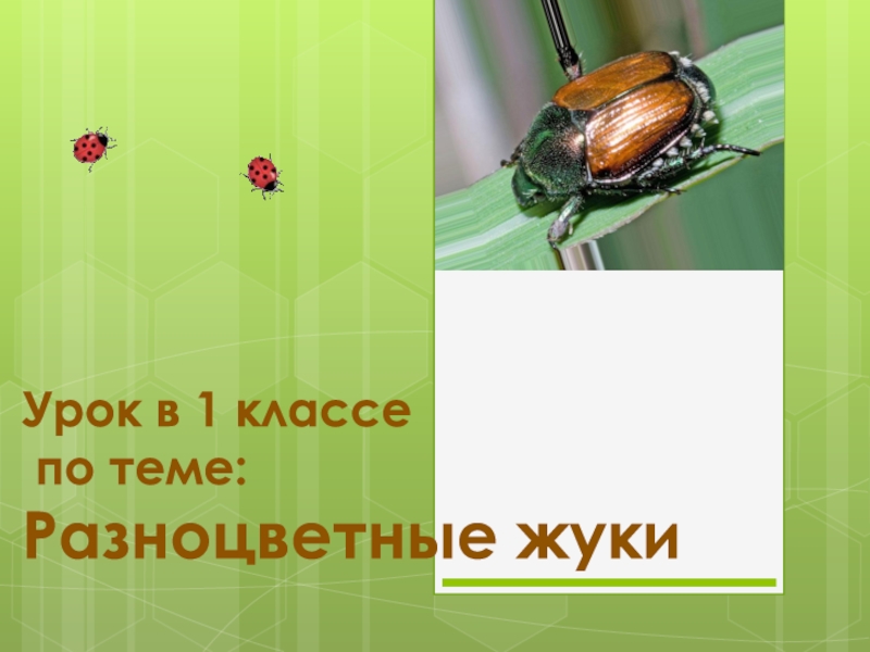 Презентация Урок в 1 классе по теме: Разноцветные жуки