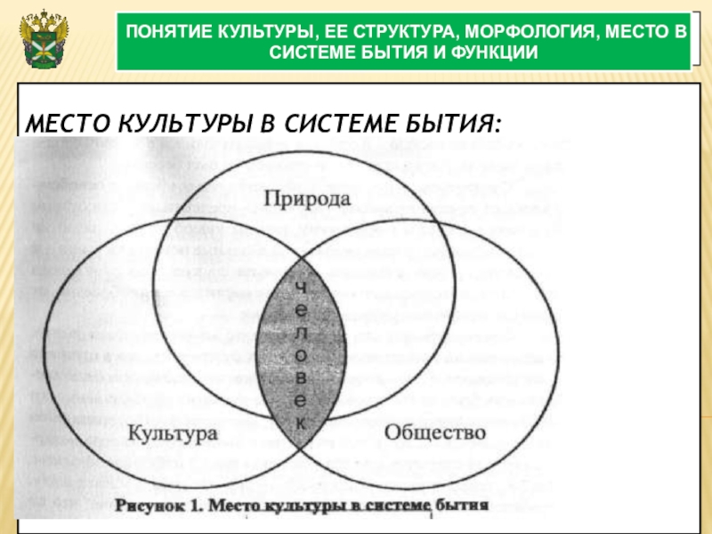 Схема культурологического знания