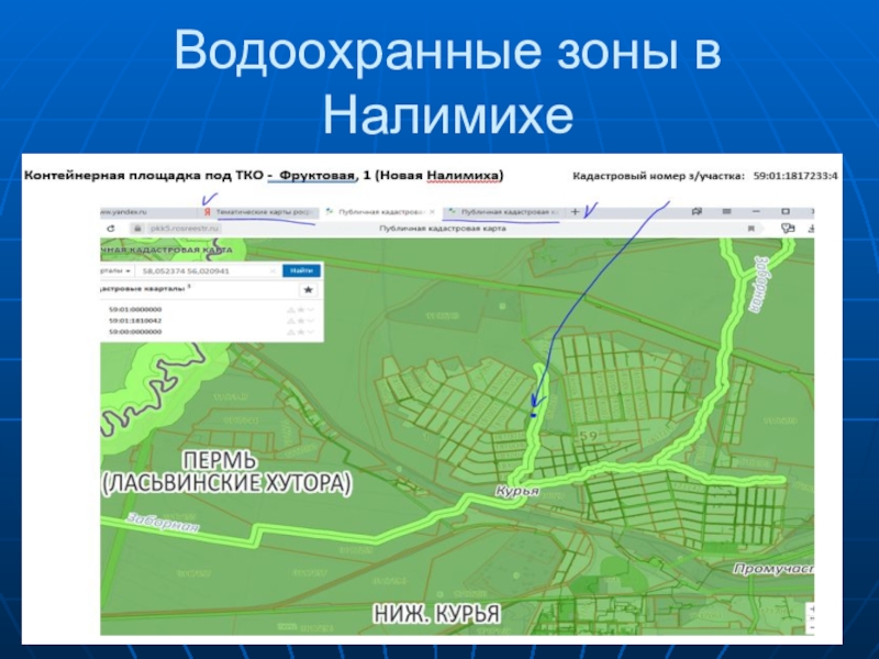 Публичная кадастровая карта с водоохранной зоной