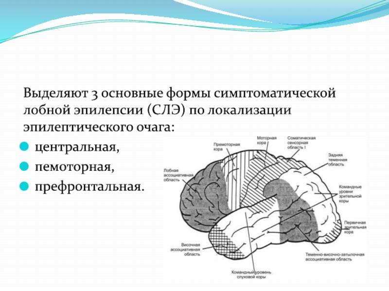 Лобная эпилепсия. Лобно-височная эпилепсия. Симптоматическая лобная эпилепсия. Эпилепсия лобной доли.