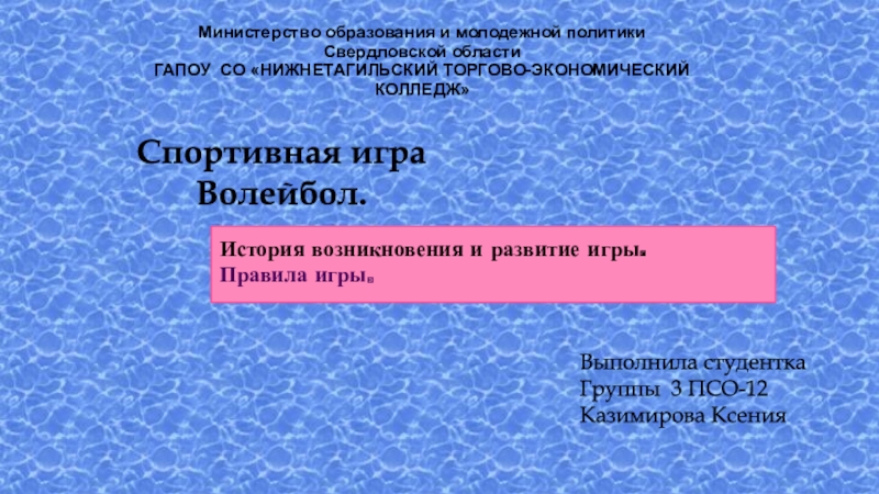 Спортивная игра Волейбол