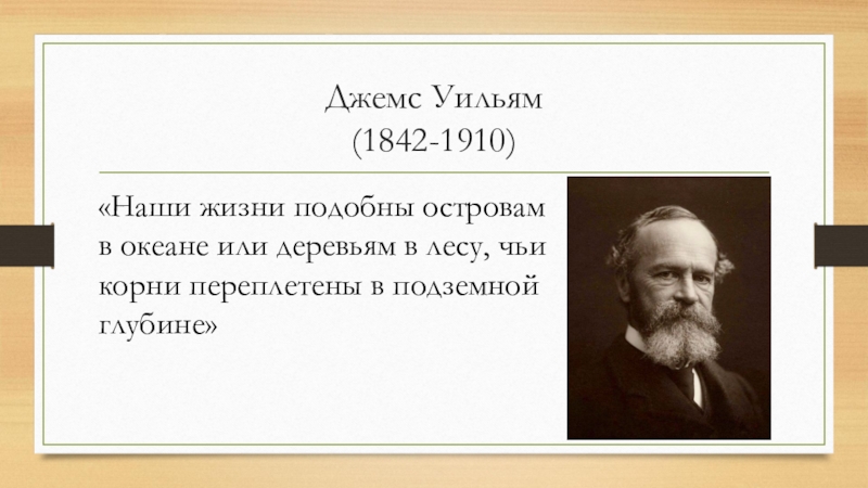 Философ 6. Философы 21 век. Джемс Константинович чулков. Уильям Джемс идеи о чистом опыте. Джемс Восток.