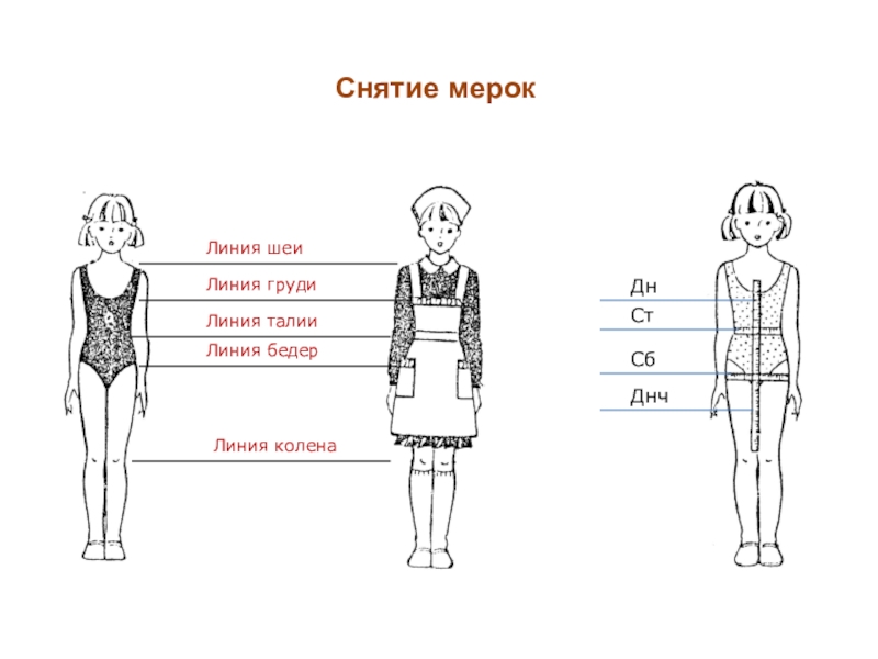 Какая мерка определяет положение линии бедер на чертеже