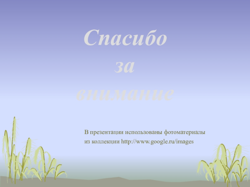 Слайд можно. Спасибо за внимание для презентации селекция. В презентации можно использовать ответ. В презентации можно использовать.