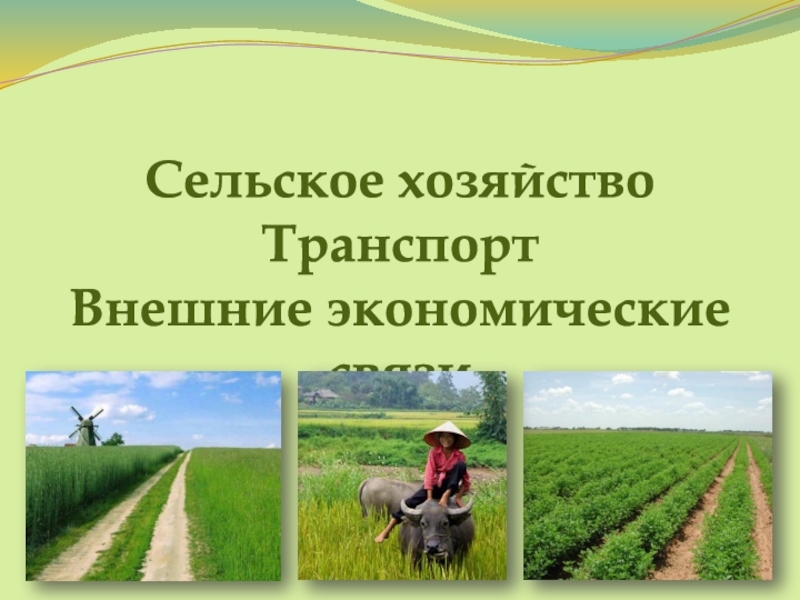 Презентация Сельское хозяйство
Транспорт
Внешние экономические связи