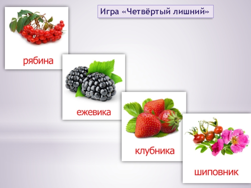 ЯГОДЫ Игра «Четвёртый лишний» Игра «Четвёртый лишний»