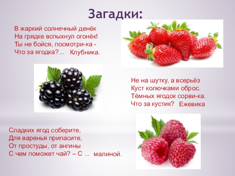 ЯГОДЫ Загадки:В жаркий солнечный денёкНа грядке вспыхнул огонёк!Ты не бойся, посмотри-ка -Что Загадки:В жаркий солнечный денёкНа грядке вспыхнул огонёк!Ты не бойся, посмотри-ка -Что за ягодка?... Сладких ягод соберите,Для варенья