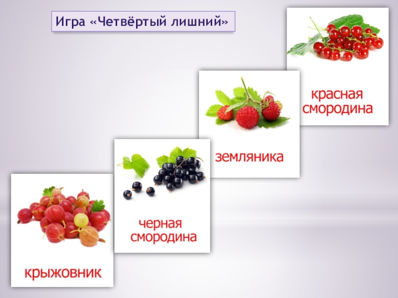 ЯГОДЫ Игра «Четвёртый лишний» Игра «Четвёртый лишний»