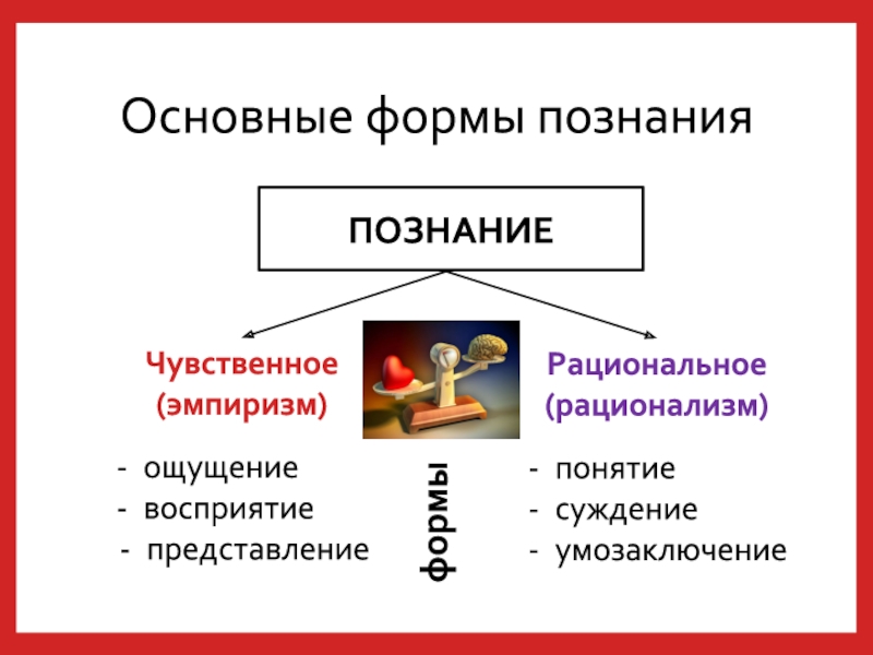 Учебная форма познания. Основные формы познания. Основные формы Познани. Основные виды познания. Формы чувственного и рационального познания.