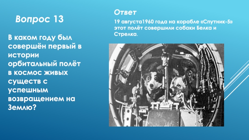 Второй человек орбитальный полет. В каком году был совершен 1 полет в космос. Первый орбитальный полет в космос. Первый удачный полет в космос живых существ. 1960 Орбитальный полет.