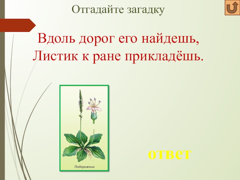 Растение отвечает на вопрос. Темы интерактивных игр лекарственные растения. Интерактивная игра крестики нолики на тему лекарственные растения. Лекарственные растения игра крестик Нолик. Загадки про растения с ответами.