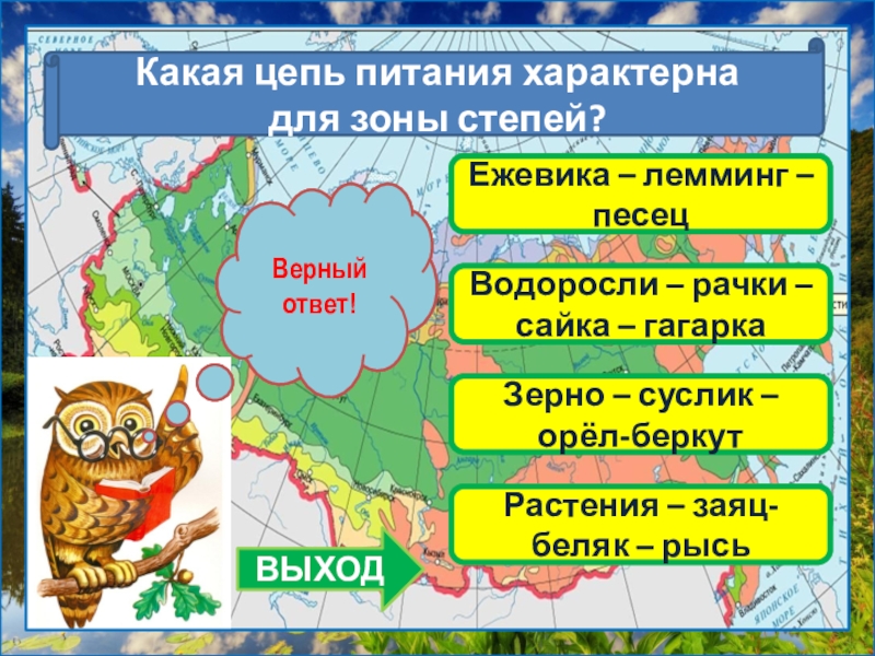 План изучения природной зоны 4 класс окружающий мир степи