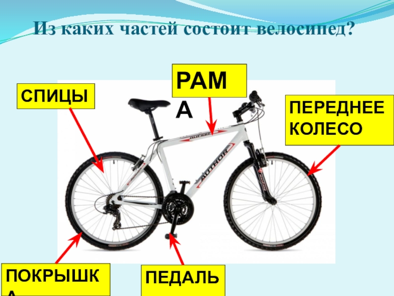 Из каких частей состоит со. Устройство велосипеда. Из каких частей состоит велосипед. BP RFRB[ xfcntq состоит велосипед. Законы статики в конструкции велосипеда.