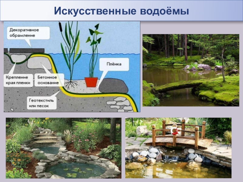 Дополни схему водохранилища искусственные водоемы