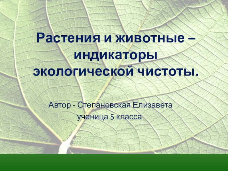 Животный индикатор. Животные индикаторы. Животные индикаторы загрязнения окружающей среды. Животные как индикаторы состояния окружающей среды. Виды индикаторы в экологии.