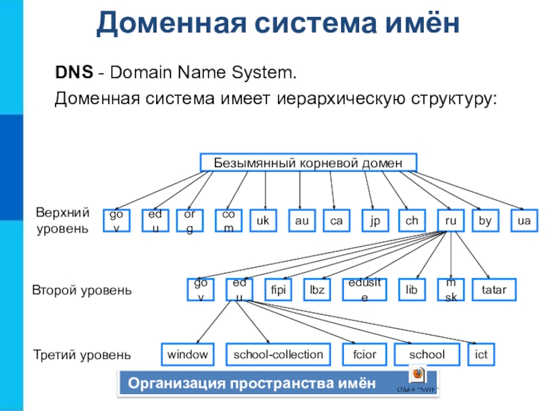 Доменная система имёнБезымянный корневой доменВерхнийуровеньВторой уровеньТретий уровень Организация пространства имён DNS - Domain Name System.Доменная система имеет