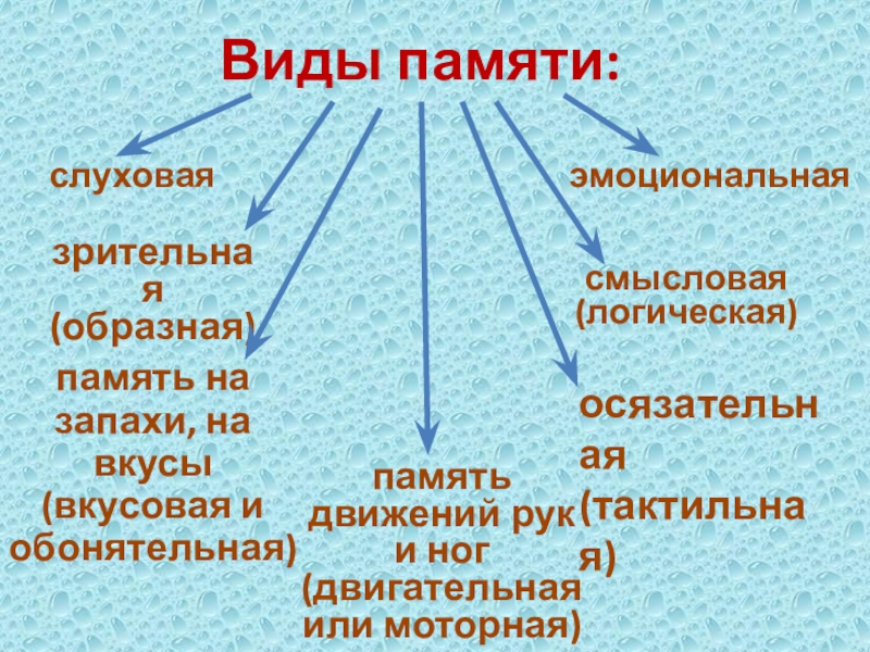 Память движений. Движение память.