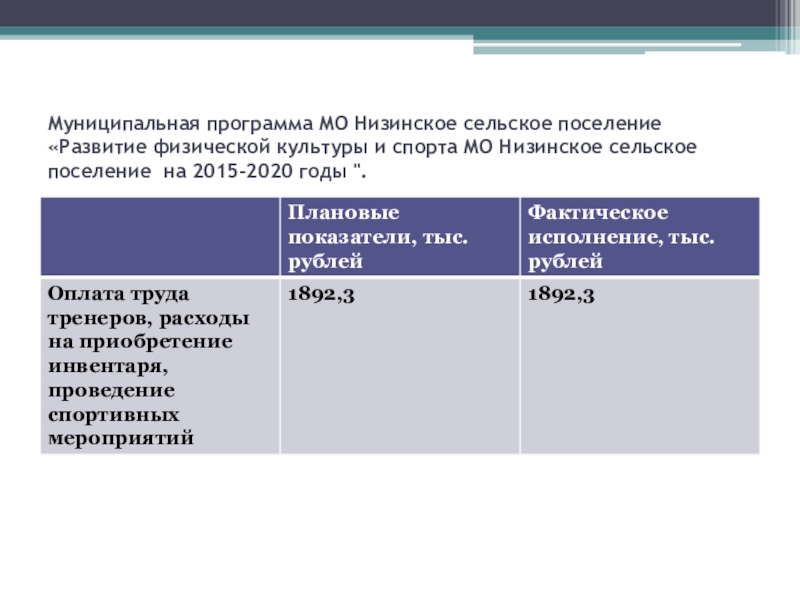 Муниципальная программа сельского поселения